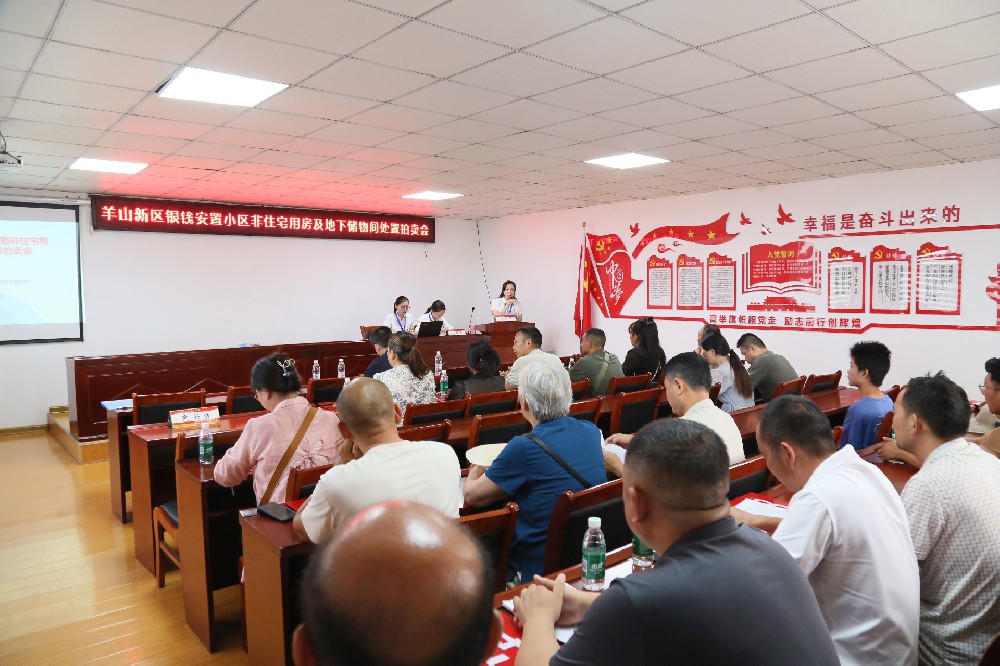 羊山新區(qū)銀錢(qián)安置小區(qū)非住宅用房及地下儲(chǔ)物間處置拍賣會(huì)